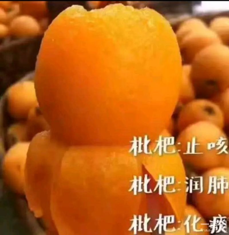 农家纯手工制作川贝枇杷膏