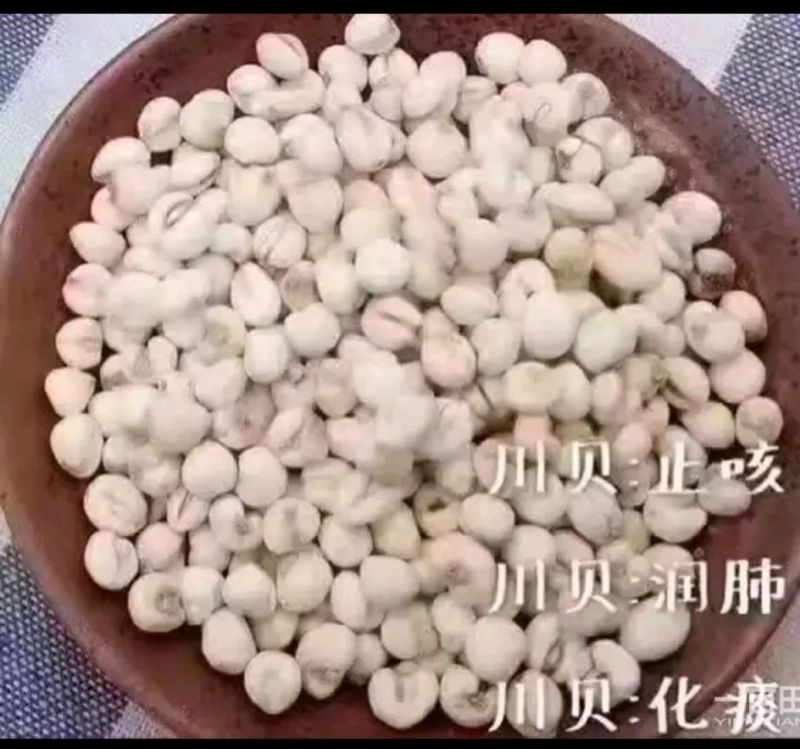农家纯手工制作川贝枇杷膏