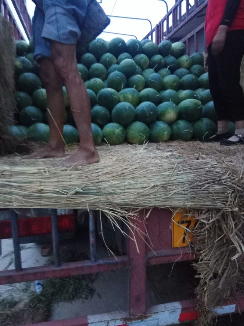 龙卷风