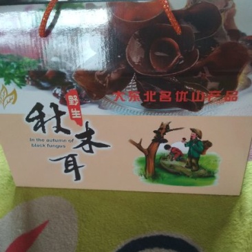秋木耳东北野生天然秋木耳