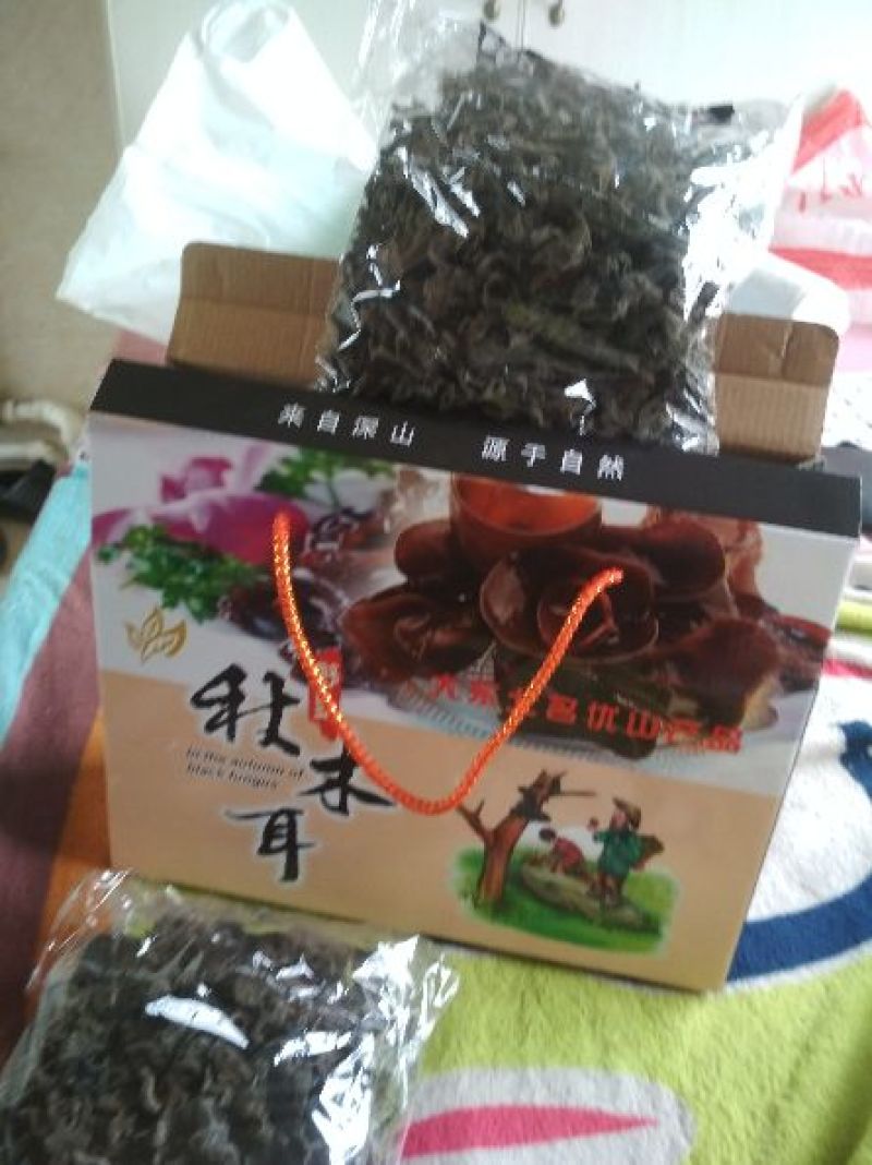 秋木耳东北野生天然秋木耳