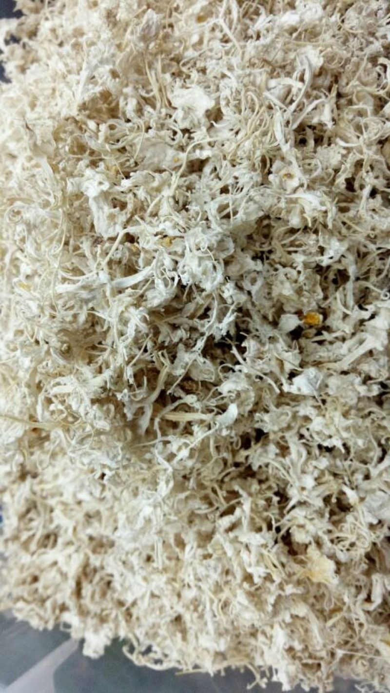 橘络选货丝度好颜色白包邮偏远地区除