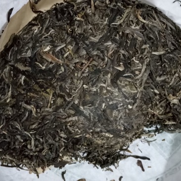 古树茶