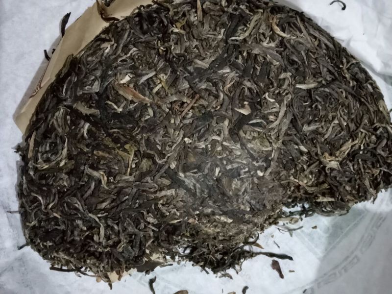 古树茶
