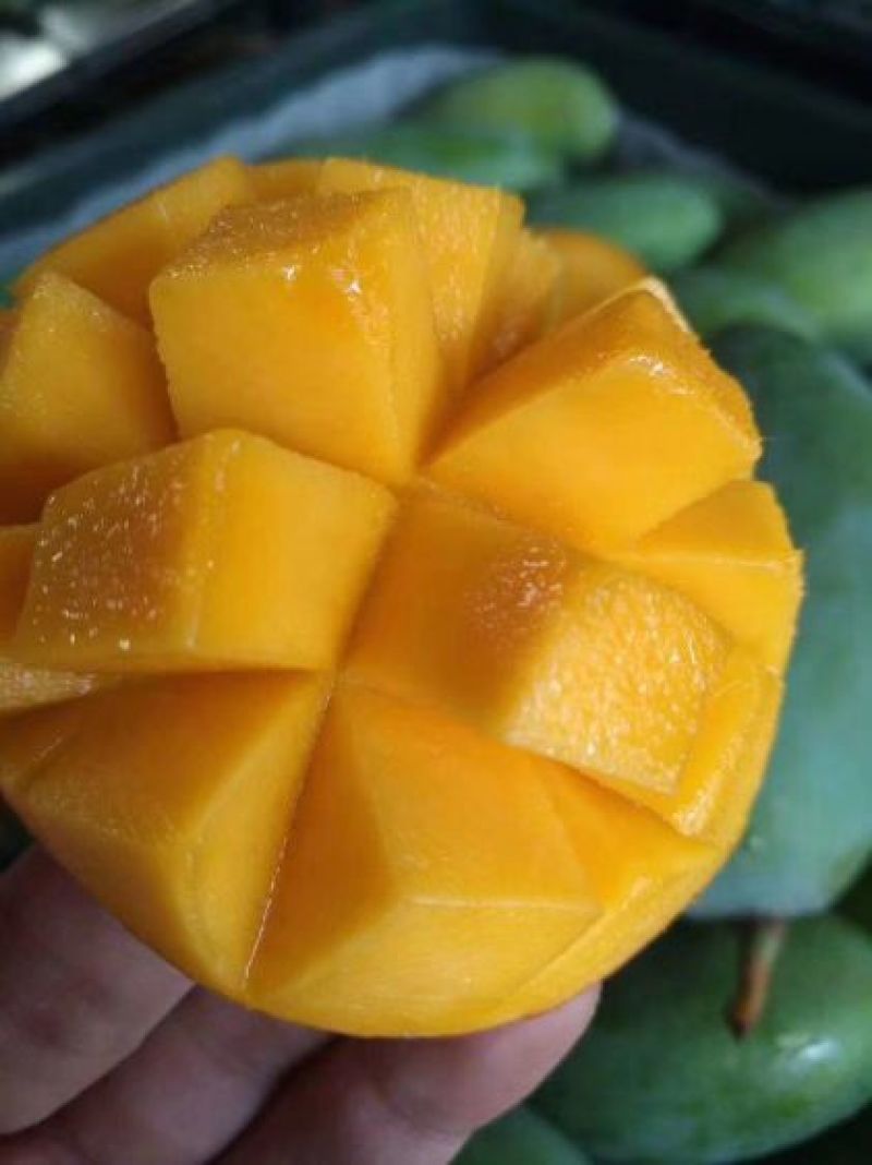 甜心芒