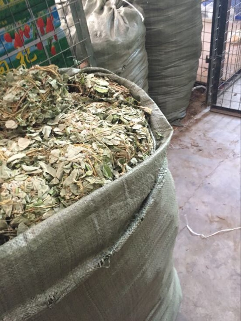 金钱草今年新货小扎无硫货颜色好干度好