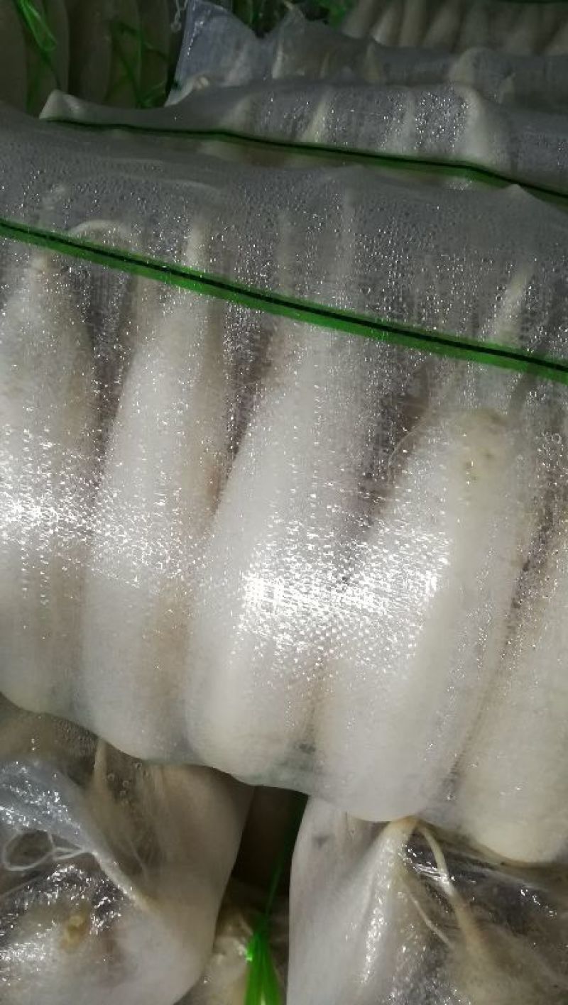 白萝卜，萝卜甜脆可口