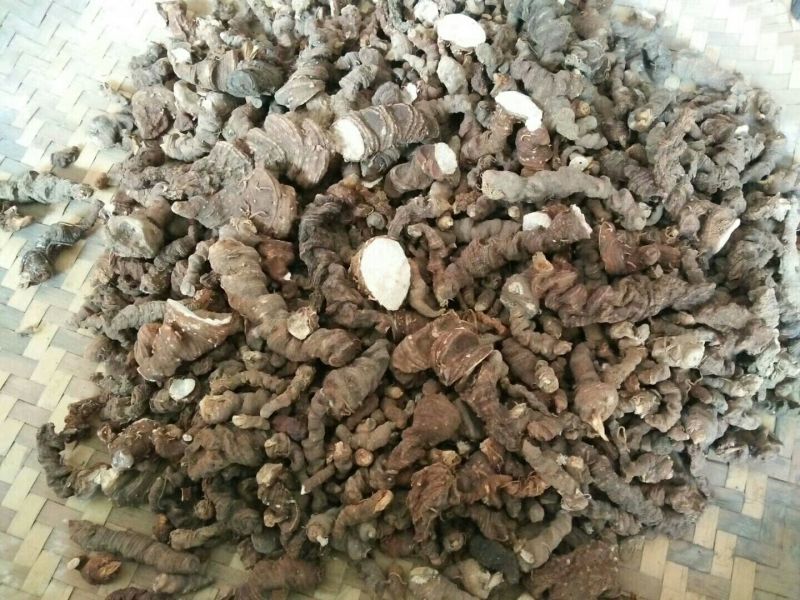 重楼野生，货源来自贵州省遵义市绥阳县太白镇高山，少量有货