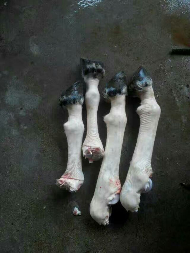 驴肉