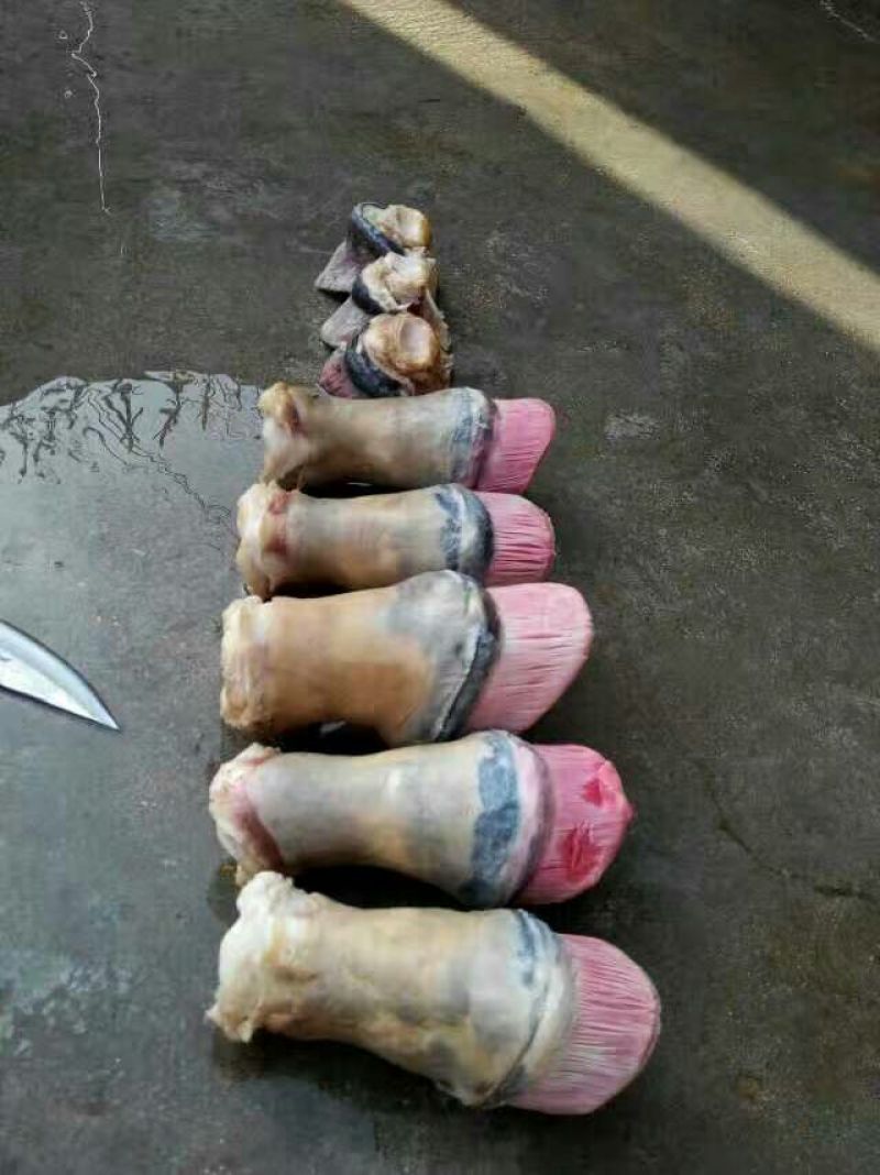 驴肉
