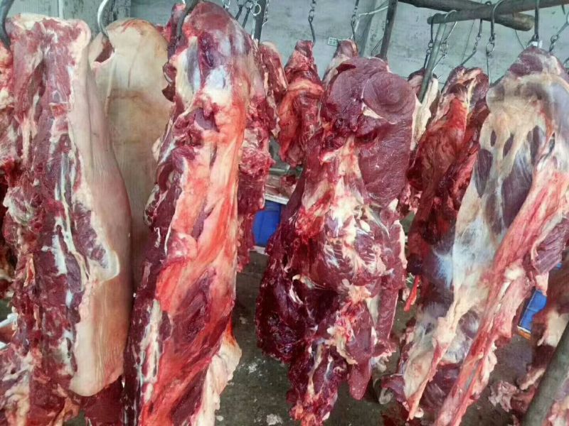 驴肉