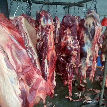 驴肉