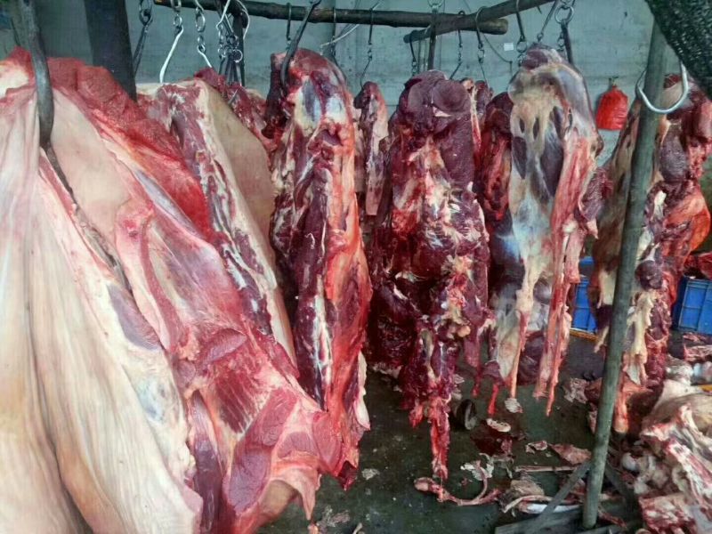 驴肉