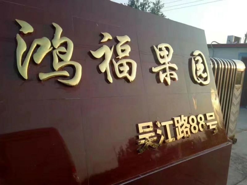 精品夏黑，果粒大，串型好，糖度高，耐运输
