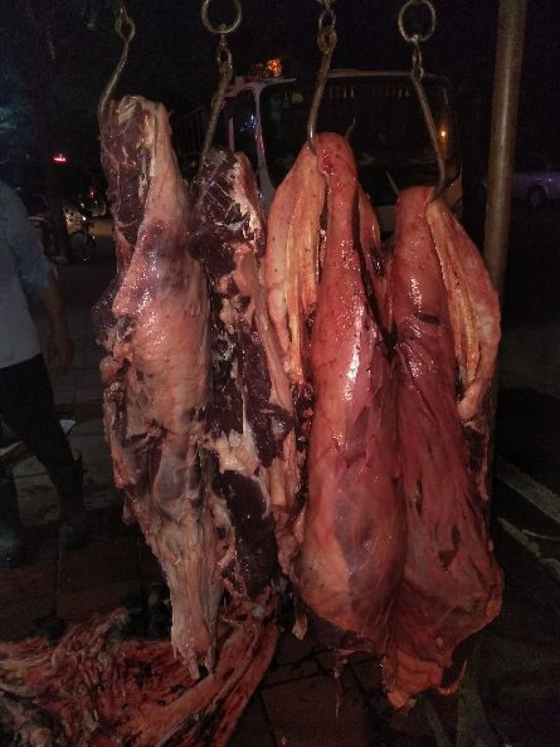 驴肉