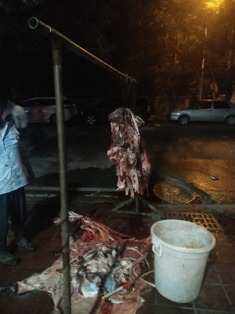 驴肉