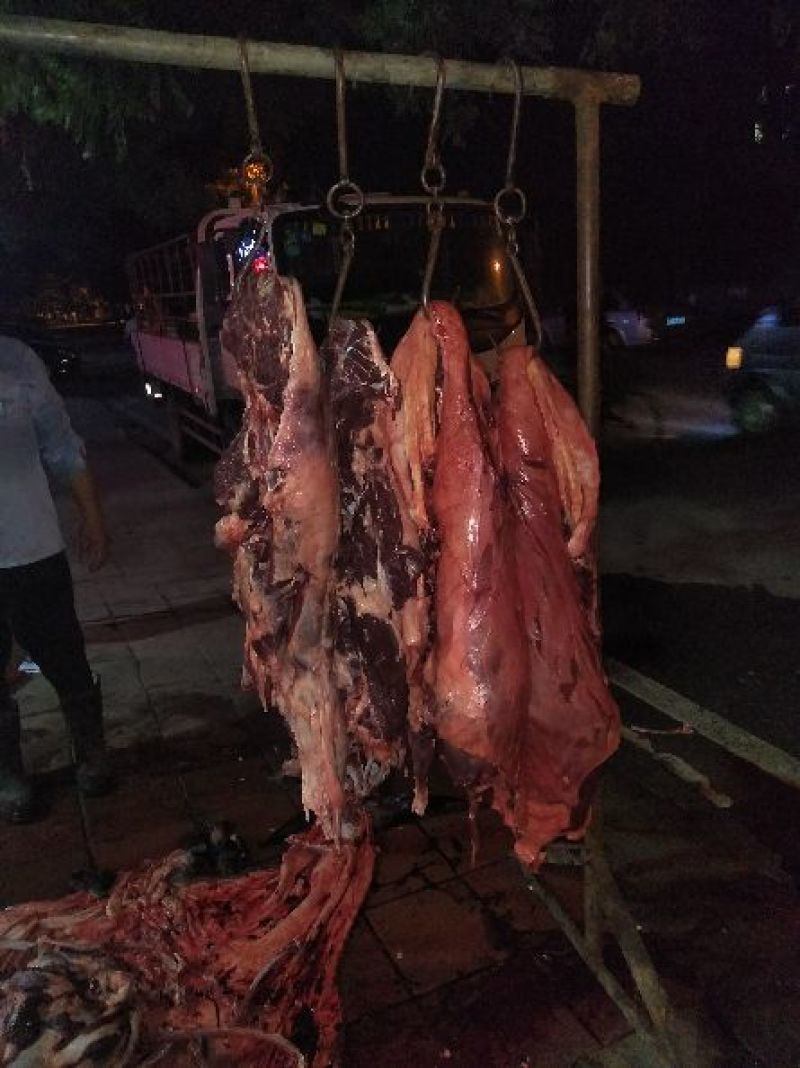 驴肉