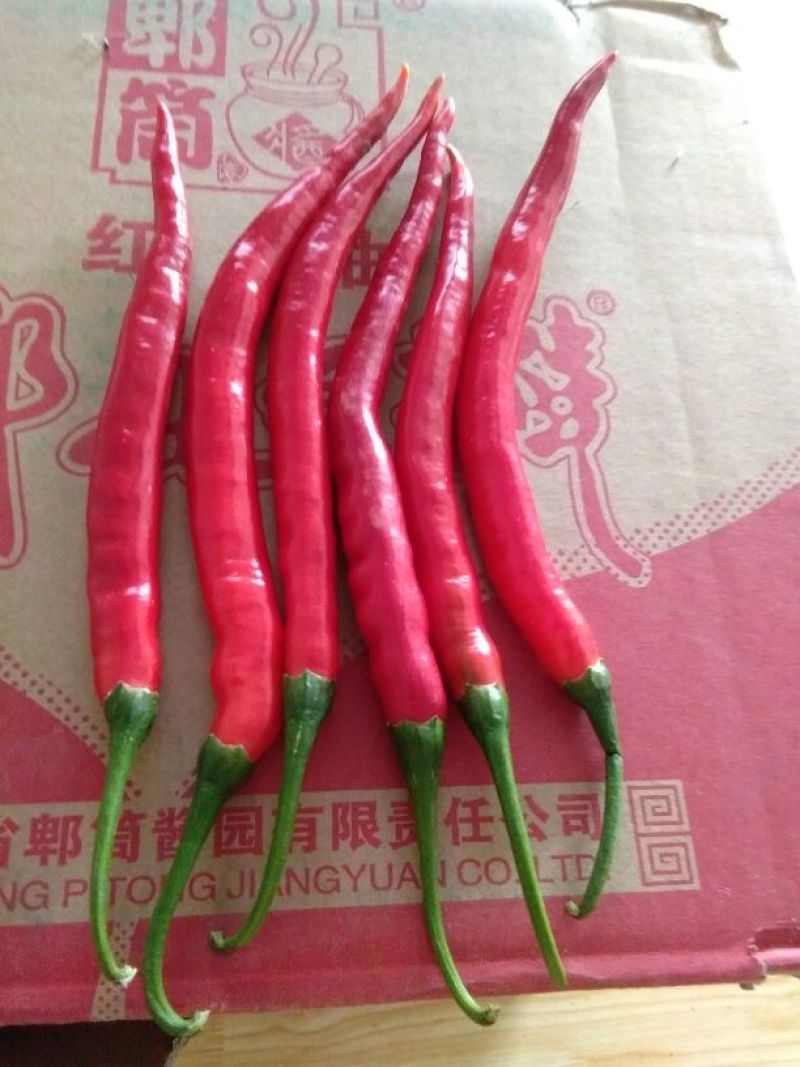 红椒，细长，15～20cm。