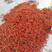 精品艳红米椒，产地直供，质量保证，支持发货