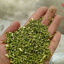 槐米，一等花米。量大从优
