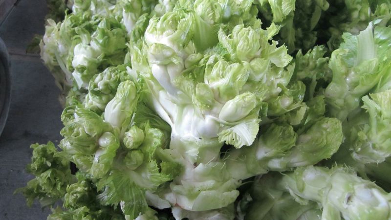 儿菜