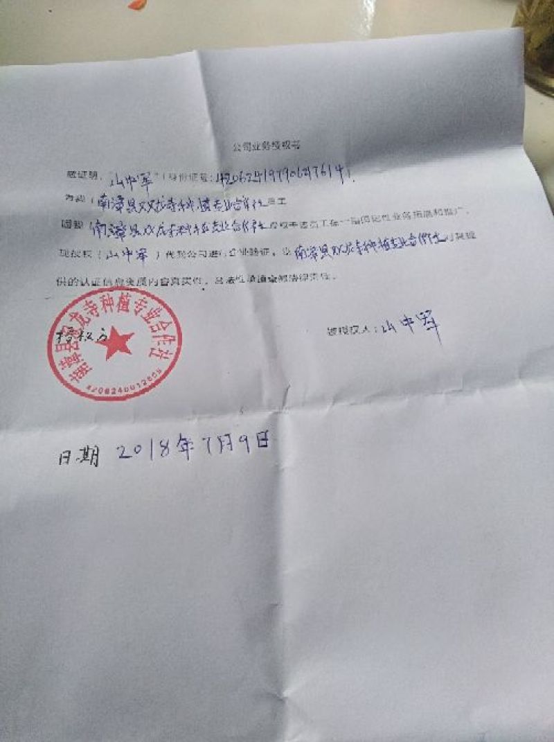 续断纯野生含量高无硫