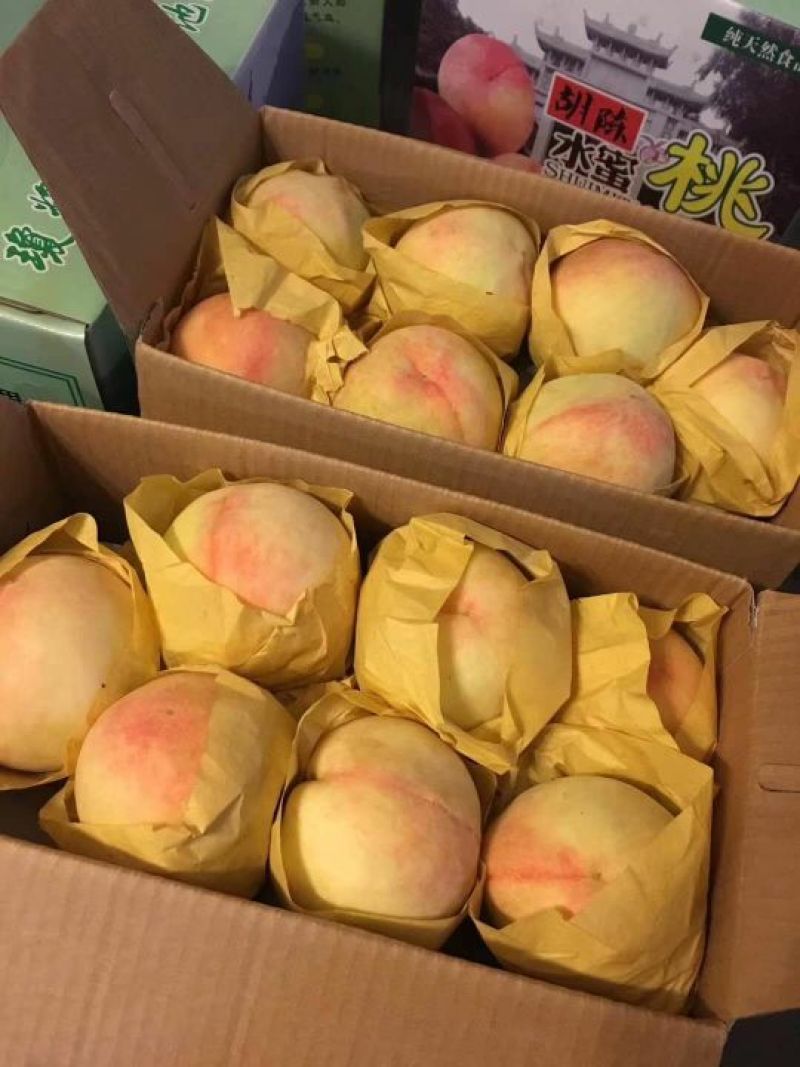 宁海县水蜜桃热销中