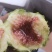 大量无花果每天一万斤左右