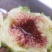 大量无花果每天一万斤左右