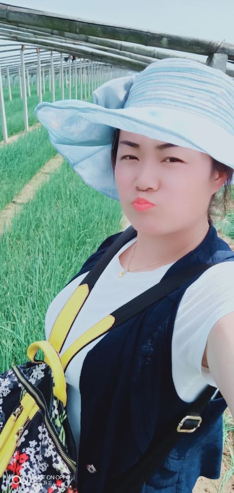 优质铁杆葱苗.葱种常年出售，质优价廉，需要的朋友速定