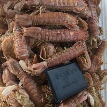 皮皮虾冰鲜虾