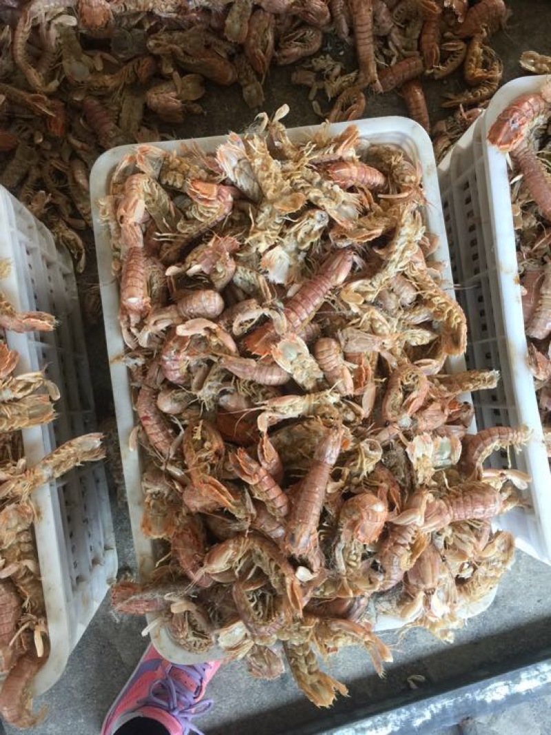 皮皮虾冰鲜虾