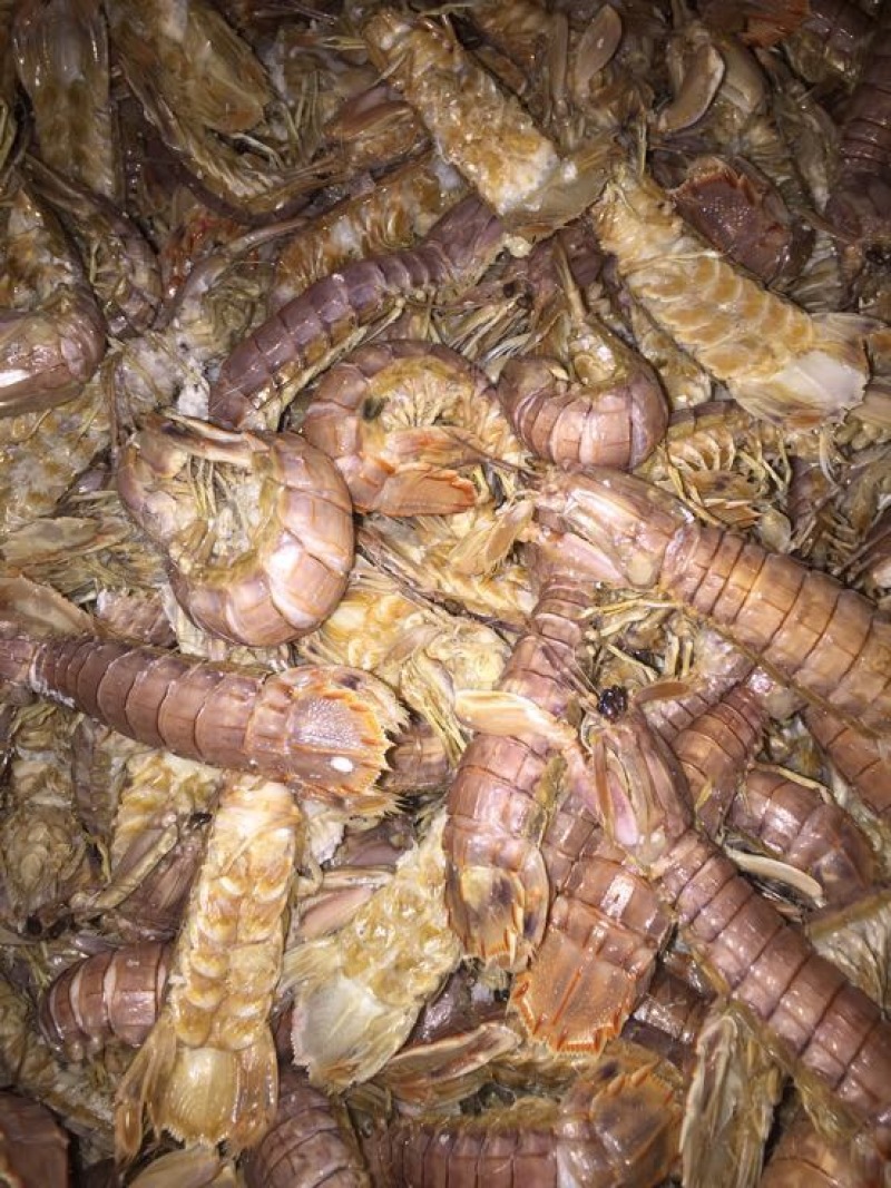皮皮虾冰鲜虾