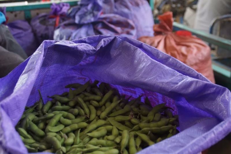 精品毛豆大小豆都有欢迎前来考察。。。。。