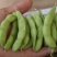 精品毛豆大小豆都有欢迎前来考察。。。。。