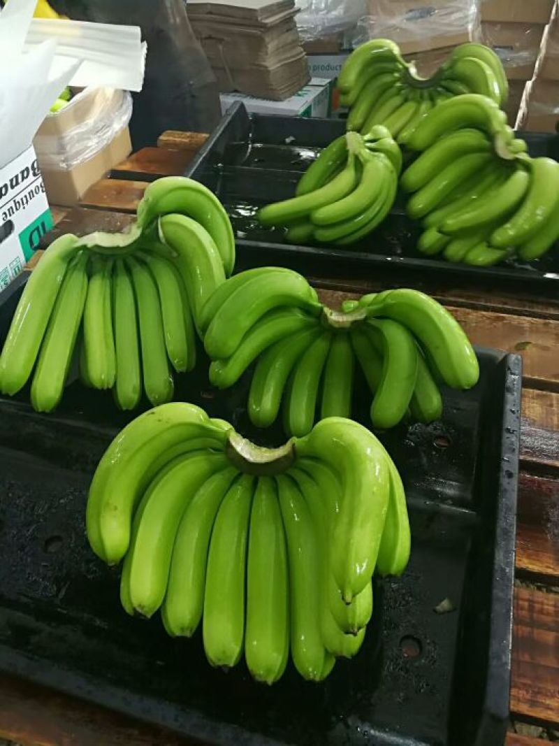 专供应香蕉