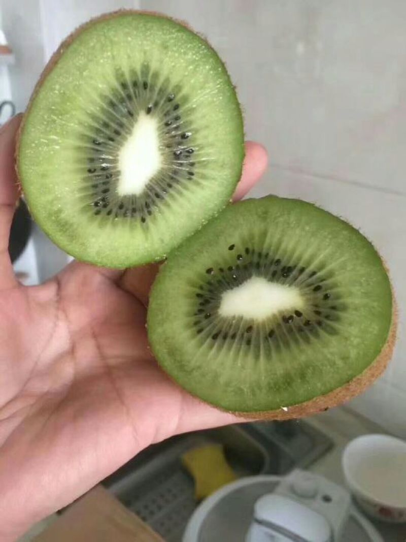 中国猕猴桃之乡周至