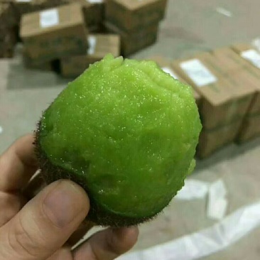 中国猕猴桃之乡周至