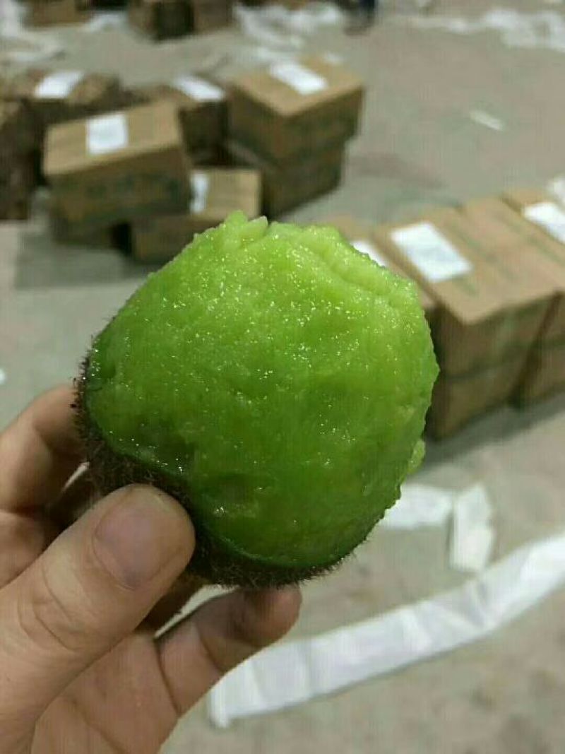 中国猕猴桃之乡周至