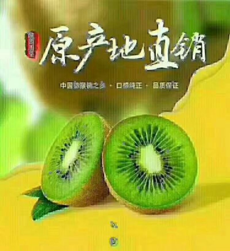 中国猕猴桃之乡周至