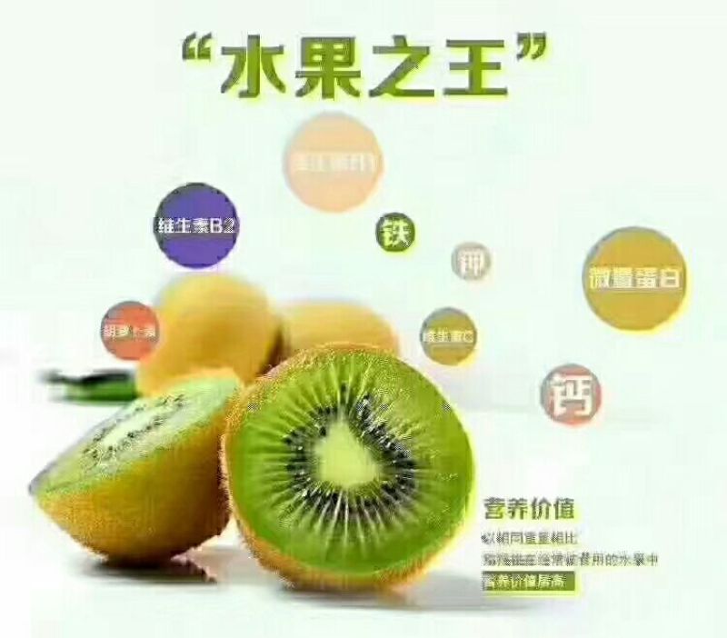 中国猕猴桃之乡周至