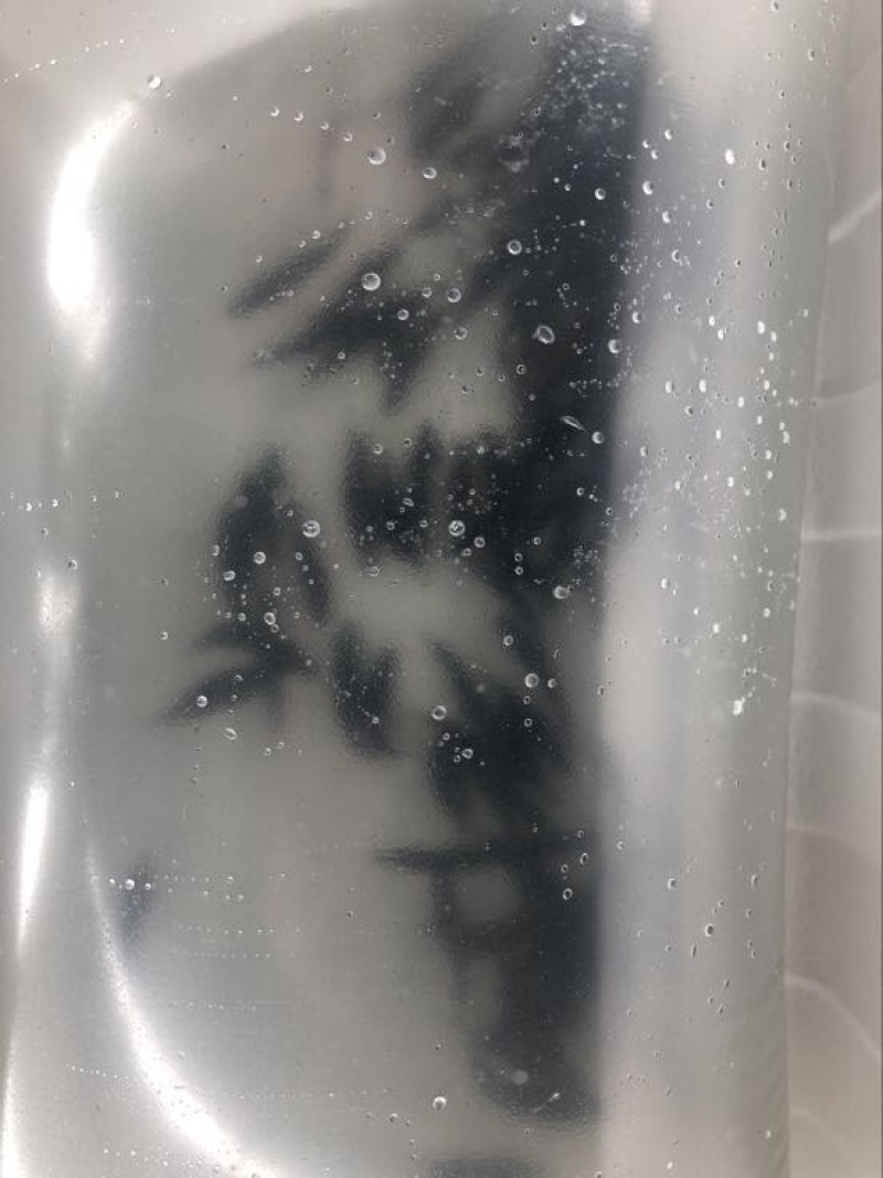 翘嘴鳜鱼苗3~5cm