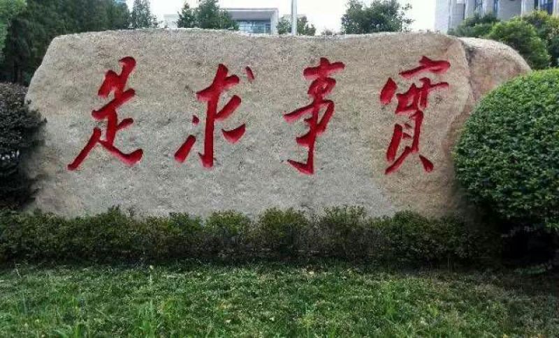 平菇菌棒每棒3元