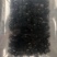甲鱼苗中华鳖甲鱼苗水鱼苗