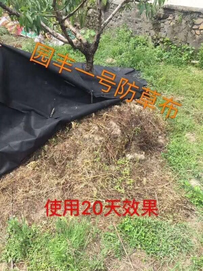 1.2*1.2果树专用防草布一颗树铺一张，简单省事