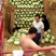 金城五号