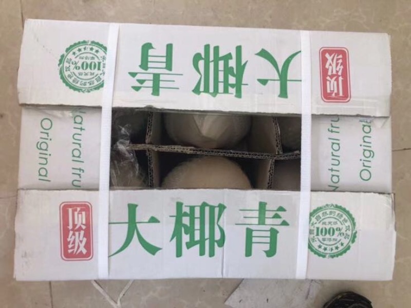 椰青海南文昌东郊椰子59元包邮一箱
