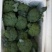 河北西兰花，耐寒优秀西兰花0.8~1.2斤，产地直发