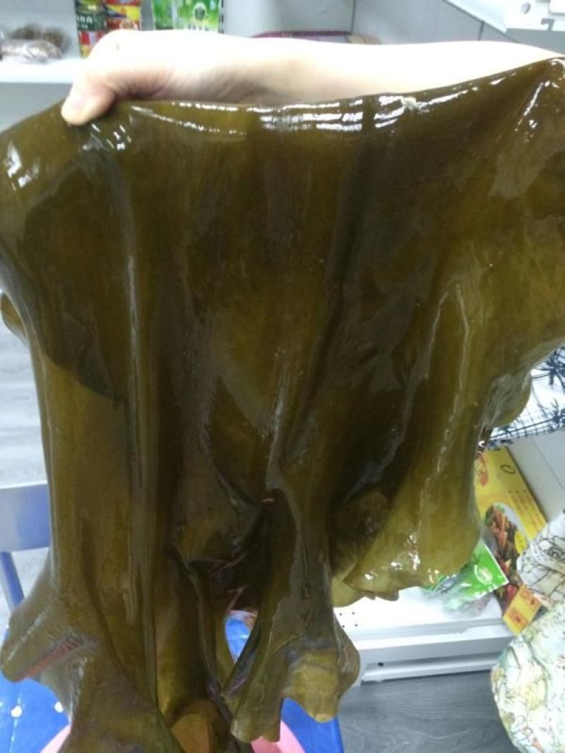 优品海带，整条干海带，带头带尾