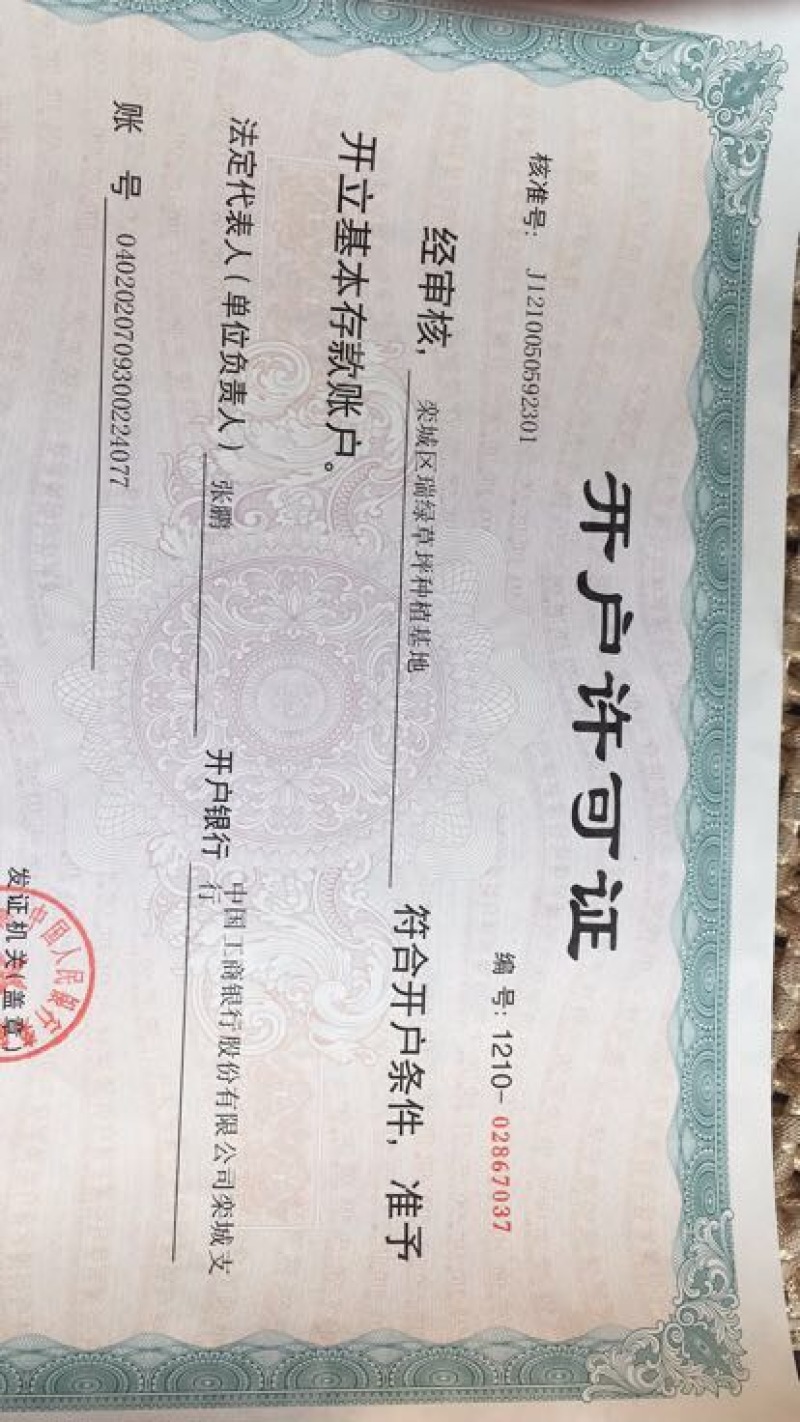 草坪草